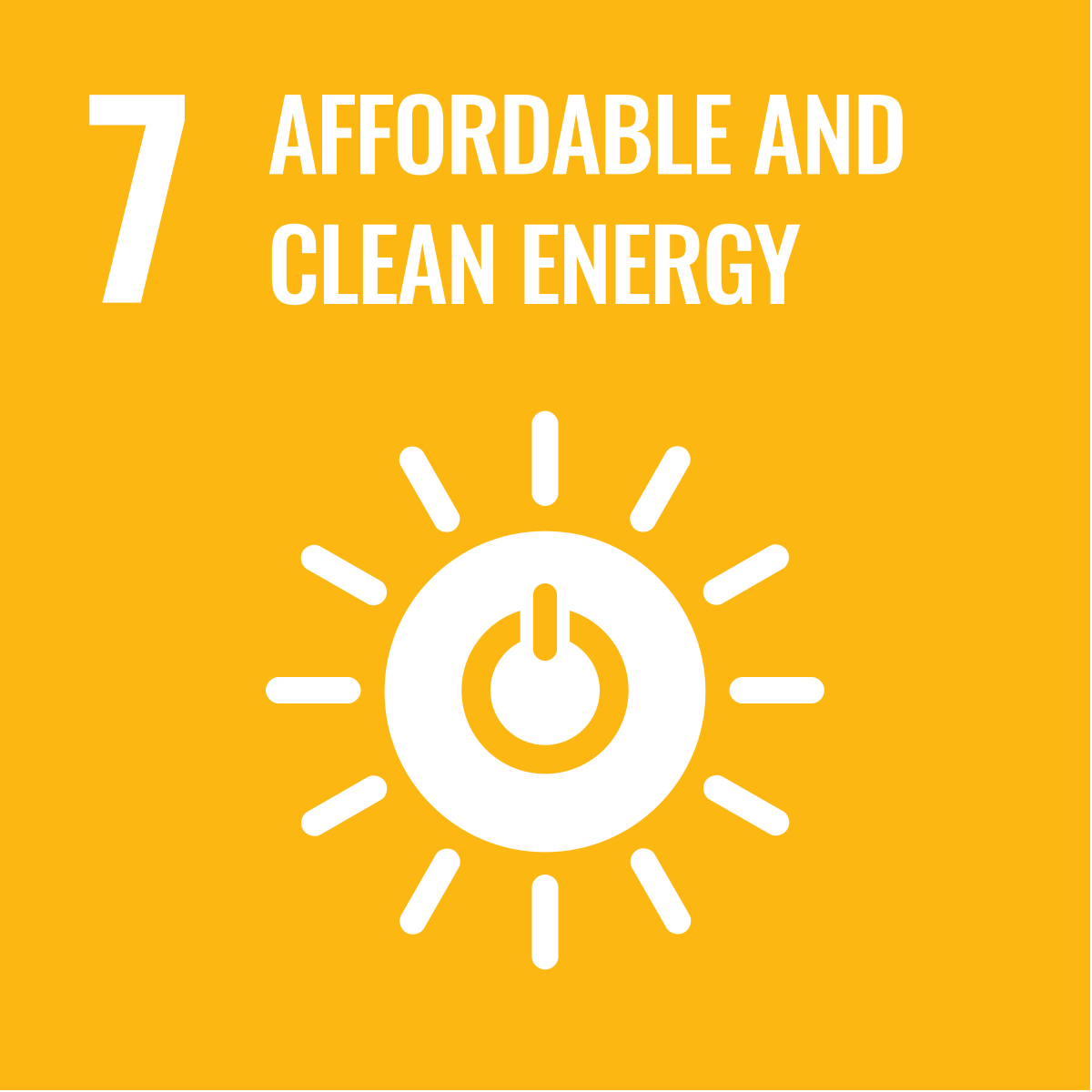 SDG 07
